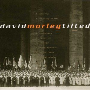收聽David Morley的Biology歌詞歌曲