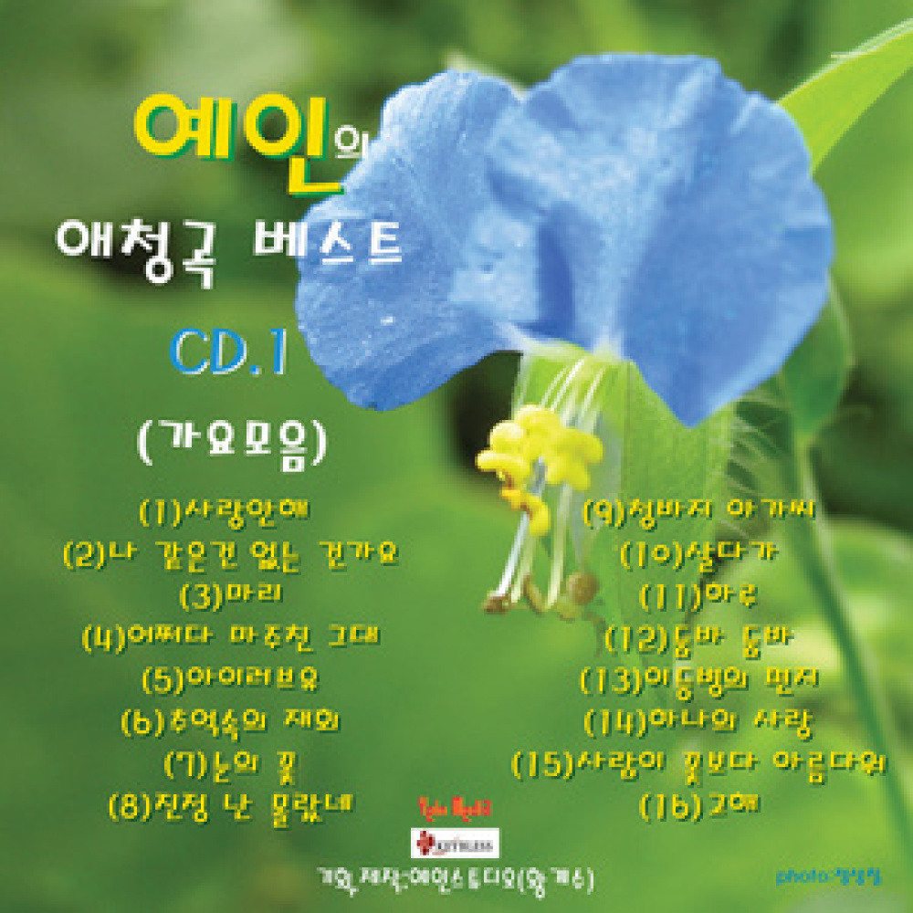 둠바 둠바