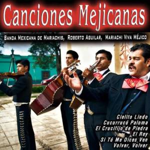 Banda Mexicana De Mariachis ดาวน์โหลดและฟังเพลงฮิตจาก Banda Mexicana De Mariachis