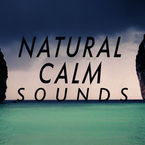 Natural Nature的專輯Natural Calm Sounds
