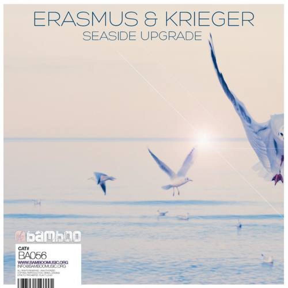 Erasmus