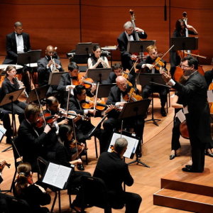 New York Chamber Symphony ดาวน์โหลดและฟังเพลงฮิตจาก New York Chamber Symphony