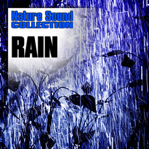 ดาวน์โหลดและฟังเพลง Steady Rain with Runoff Spilling onto Pavement พร้อมเนื้อเพลงจาก Nature Sound Collection