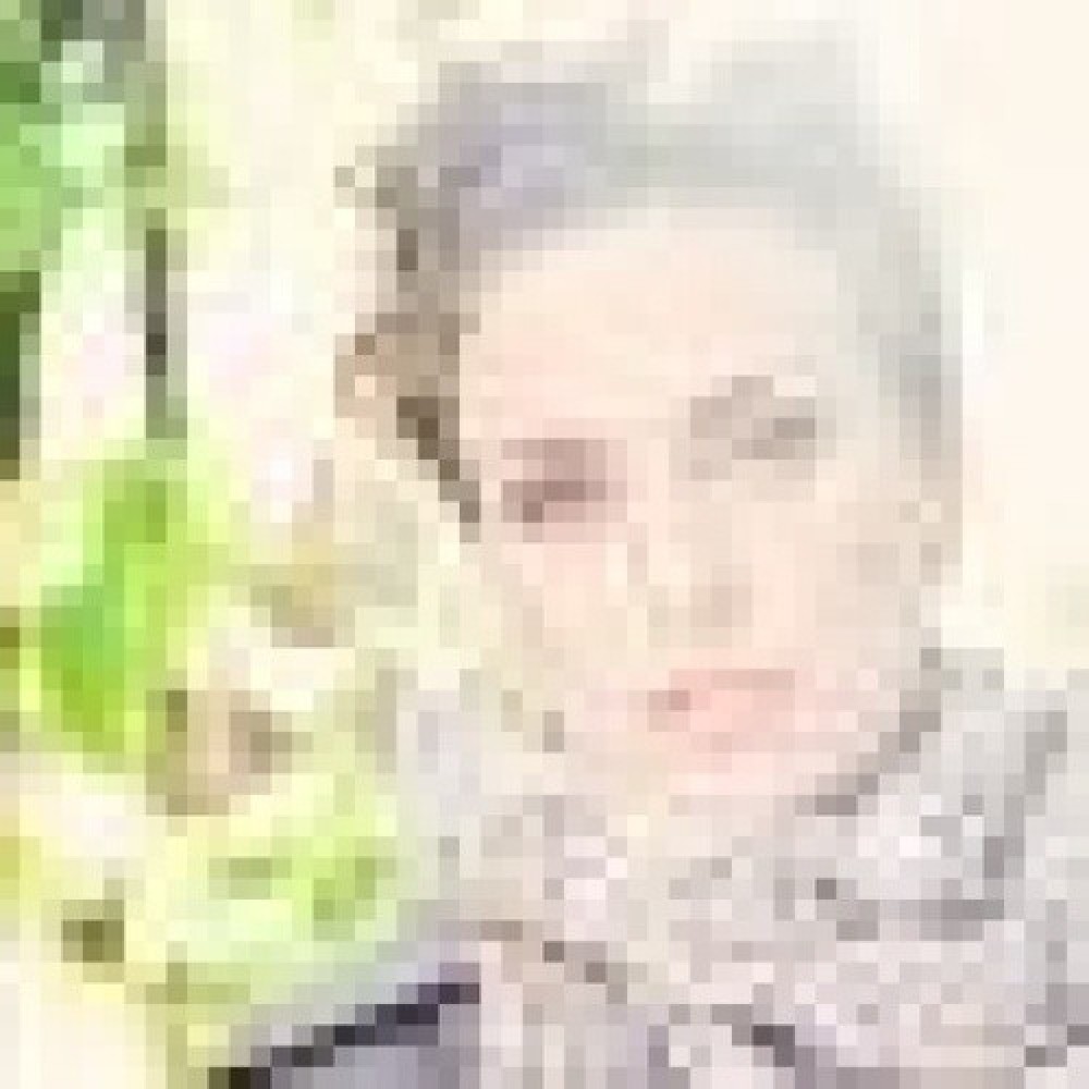 Beate S. Lech