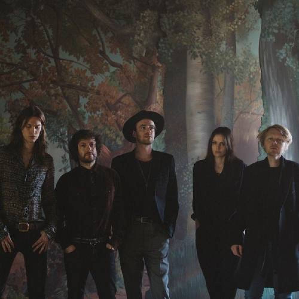 The Veils