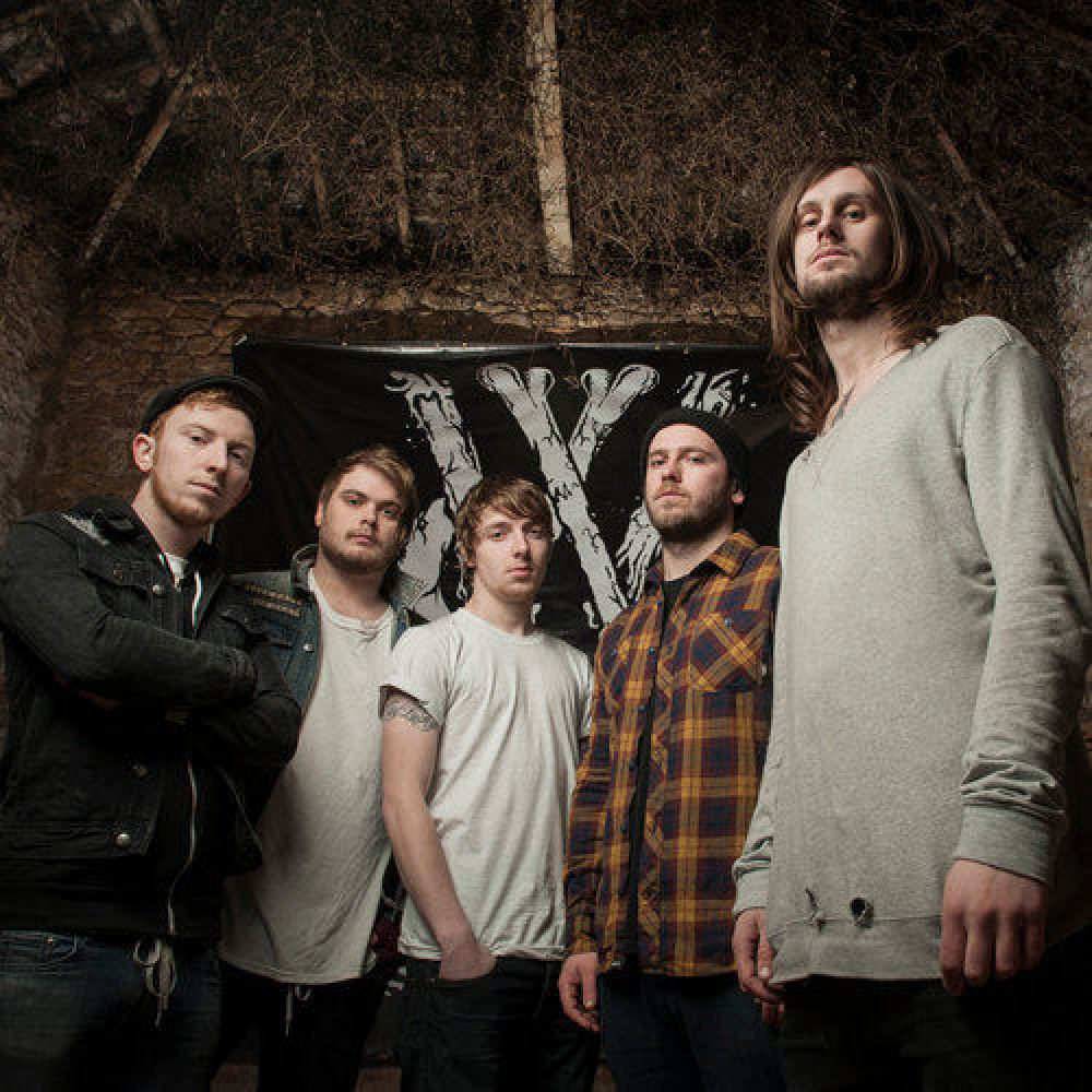 While She Sleeps