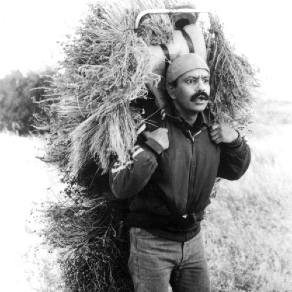 Cheech Marin