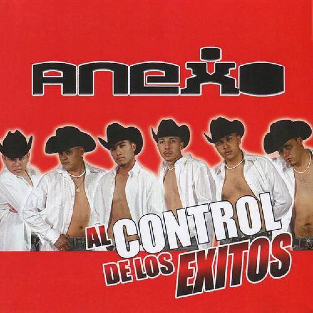 Anexo