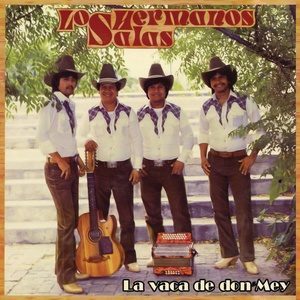 收聽Hermanos Salas的Cómo Se LLama Tu Perro?歌詞歌曲