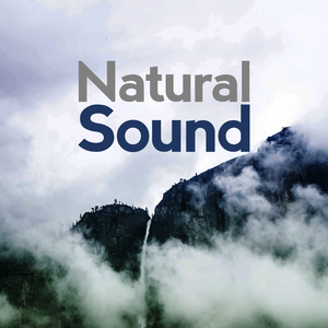 ดาวน์โหลดและฟังเพลง Wood Stream พร้อมเนื้อเพลงจาก Natural Sounds