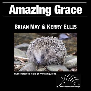 Dengarkan lagu Amazing Grace nyanyian Brian May dengan lirik