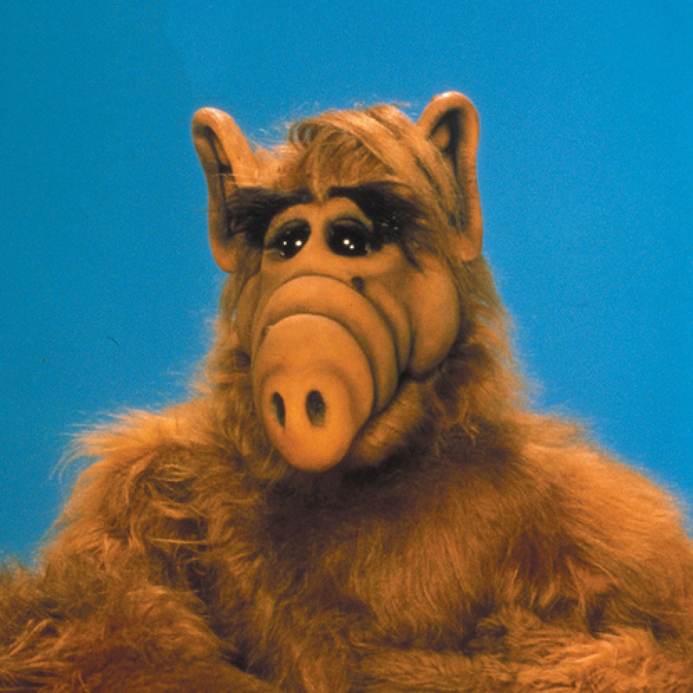 Alf