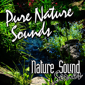 收聽Nature Sound Series的Medium Size River Rushing By歌詞歌曲