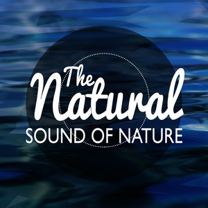Natural Nature的專輯The Natural Sound of Nature