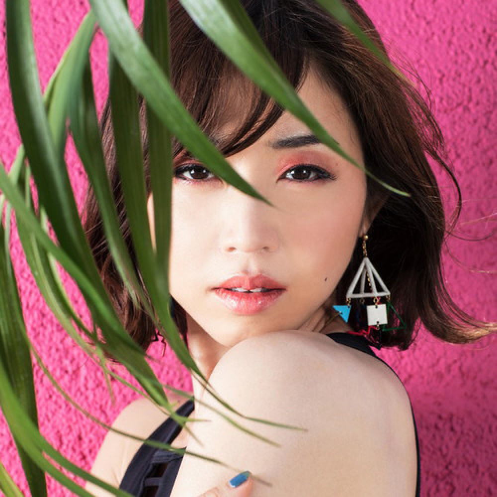 Hitomi Toi