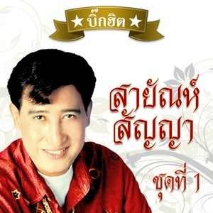 ดาวน์โหลดและฟังเพลง อภัยให้เรียม พร้อมเนื้อเพลงจาก Various Artists (Metro Hits)