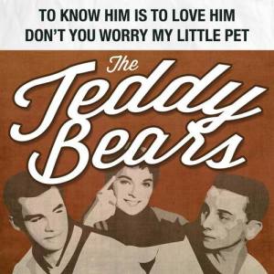 The Teddybears