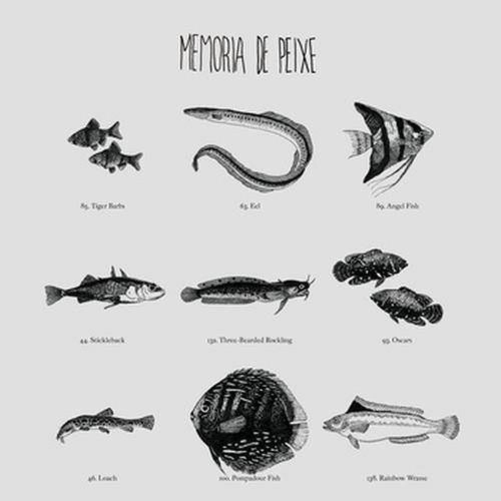 Memoria De Peixe