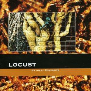 收听Locust的Root歌词歌曲