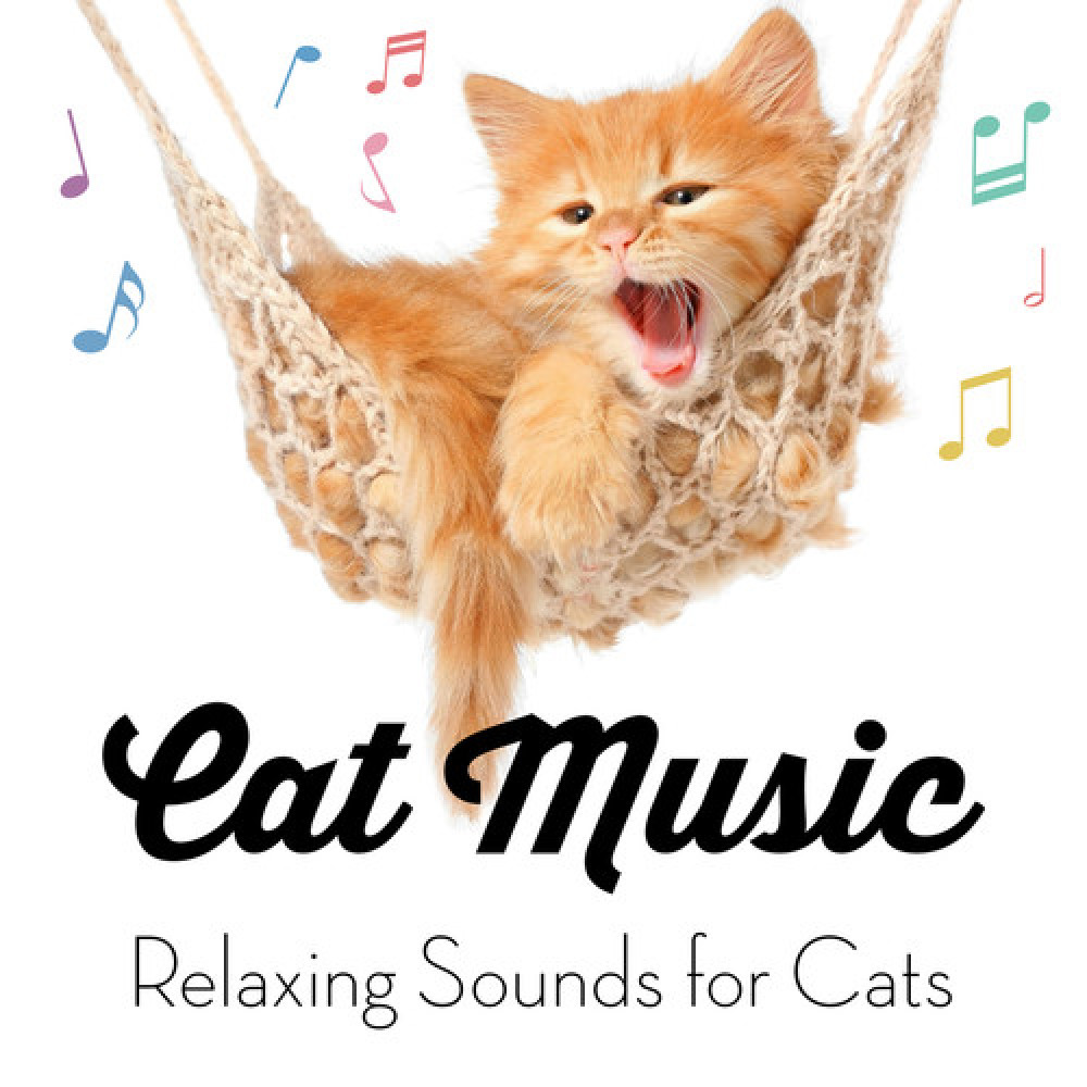 Cat Music