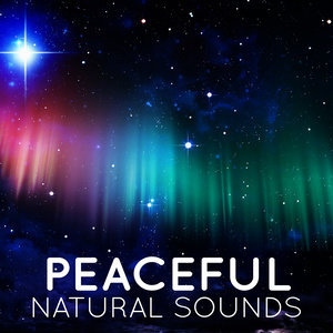 ดาวน์โหลดและฟังเพลง Spring Bird Bath พร้อมเนื้อเพลงจาก Sleep Sound Library