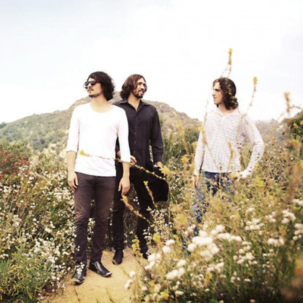 The Janks