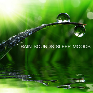 ดาวน์โหลดและฟังเพลง Wet Weather พร้อมเนื้อเพลงจาก Rain Sounds - Sleep Moods