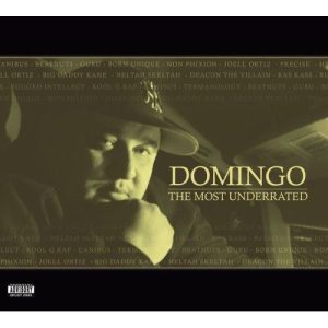 Domingo ดาวน์โหลดและฟังเพลงฮิตจาก Domingo