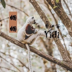 收聽曹伊笛的蟈蟈歌詞歌曲