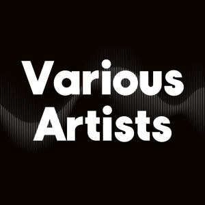 Various Artists ดาวน์โหลดและฟังเพลงฮิตจาก Various Artists