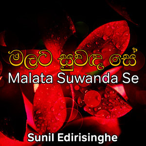 ดาวน์โหลดและฟังเพลง Mage Amal Biso พร้อมเนื้อเพลงจาก Sunil Edirisinghe