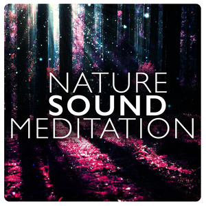 ดาวน์โหลดและฟังเพลง Soothing Wind พร้อมเนื้อเพลงจาก Nature Sound Series