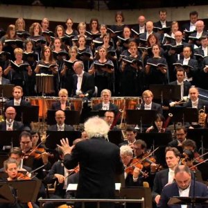 Australian Brandenburg Orchestra ดาวน์โหลดและฟังเพลงฮิตจาก Australian Brandenburg Orchestra