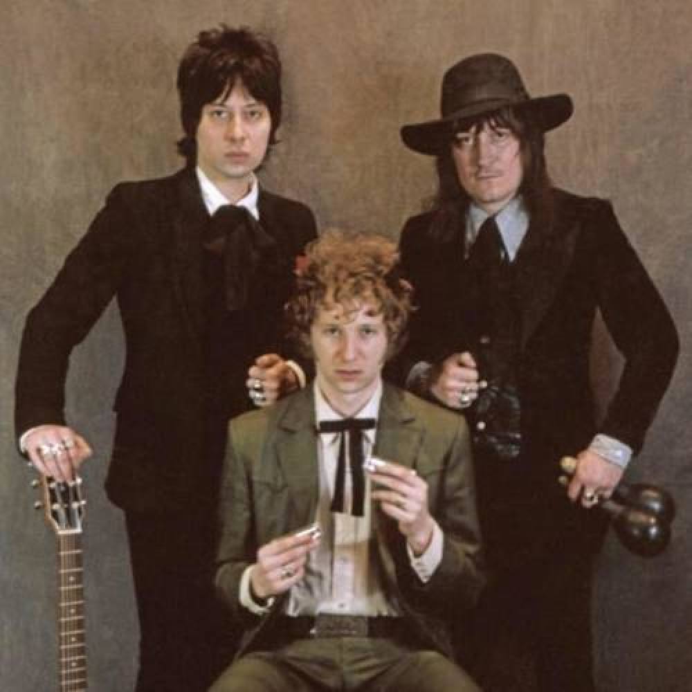 Daddy Long Legs