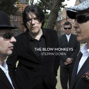The Blow Monkeys的專輯Steppin' Down