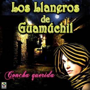 Los Llaneros De Guamuchil ดาวน์โหลดและฟังเพลงฮิตจาก Los Llaneros De Guamuchil