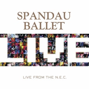 收聽Spandau Ballet的True (Live from the N.E.C.) (Live)歌詞歌曲