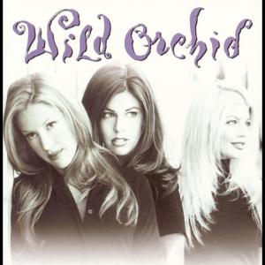 ดาวน์โหลดและฟังเพลง At Night I Pray พร้อมเนื้อเพลงจาก Wild Orchid