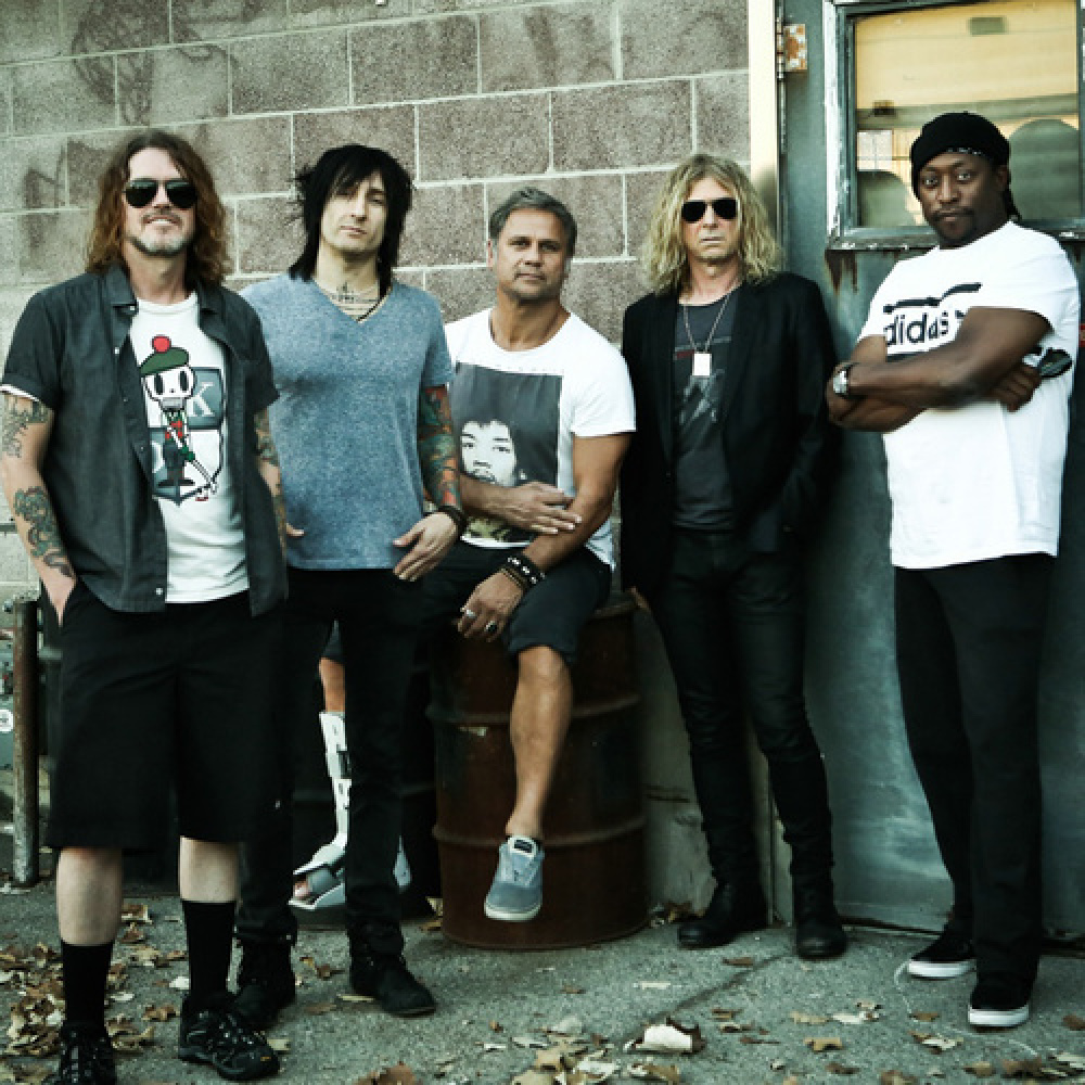 The Dead Daisies