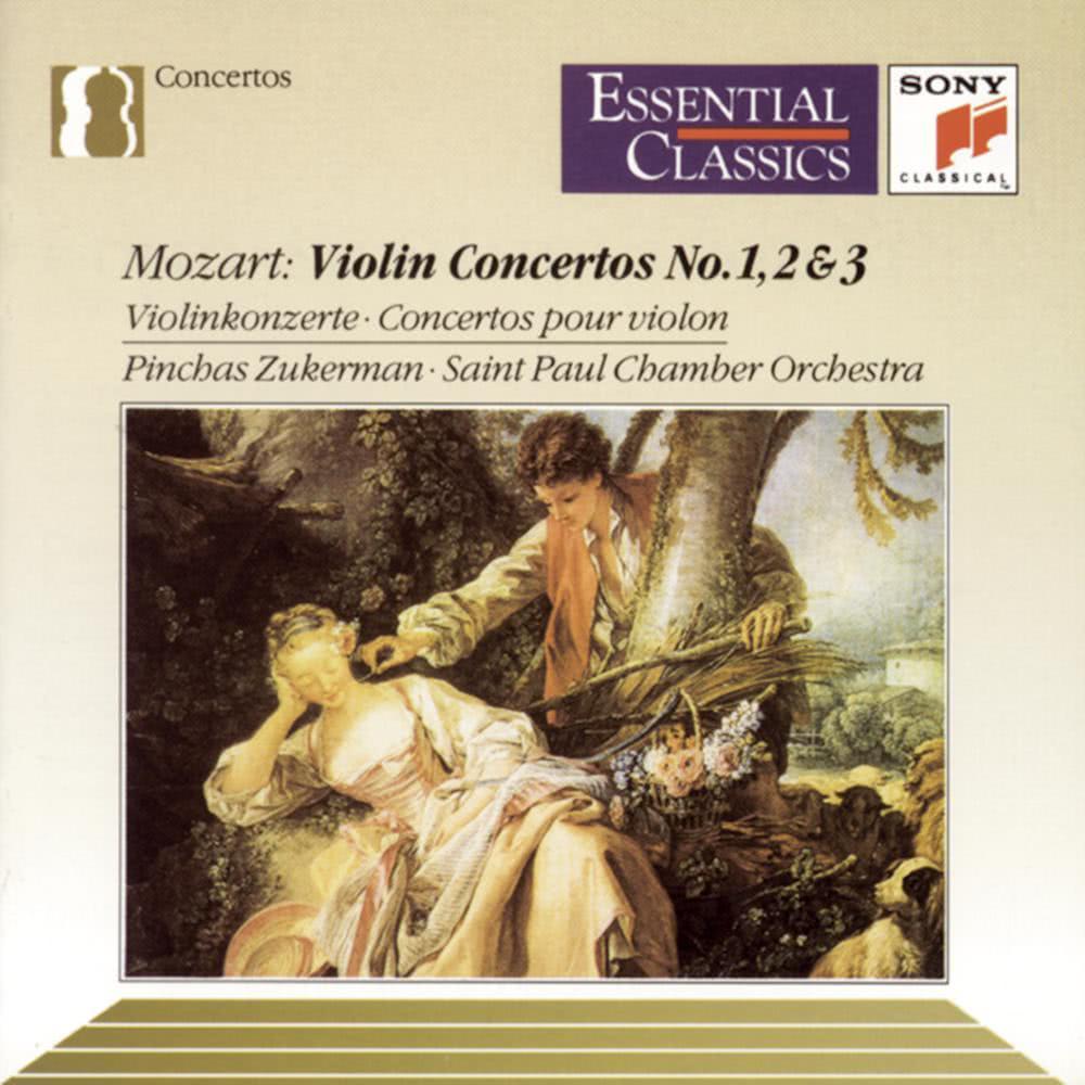 Violin Concerto No. 2 in D Major, K. 211: I. Allegro moderato