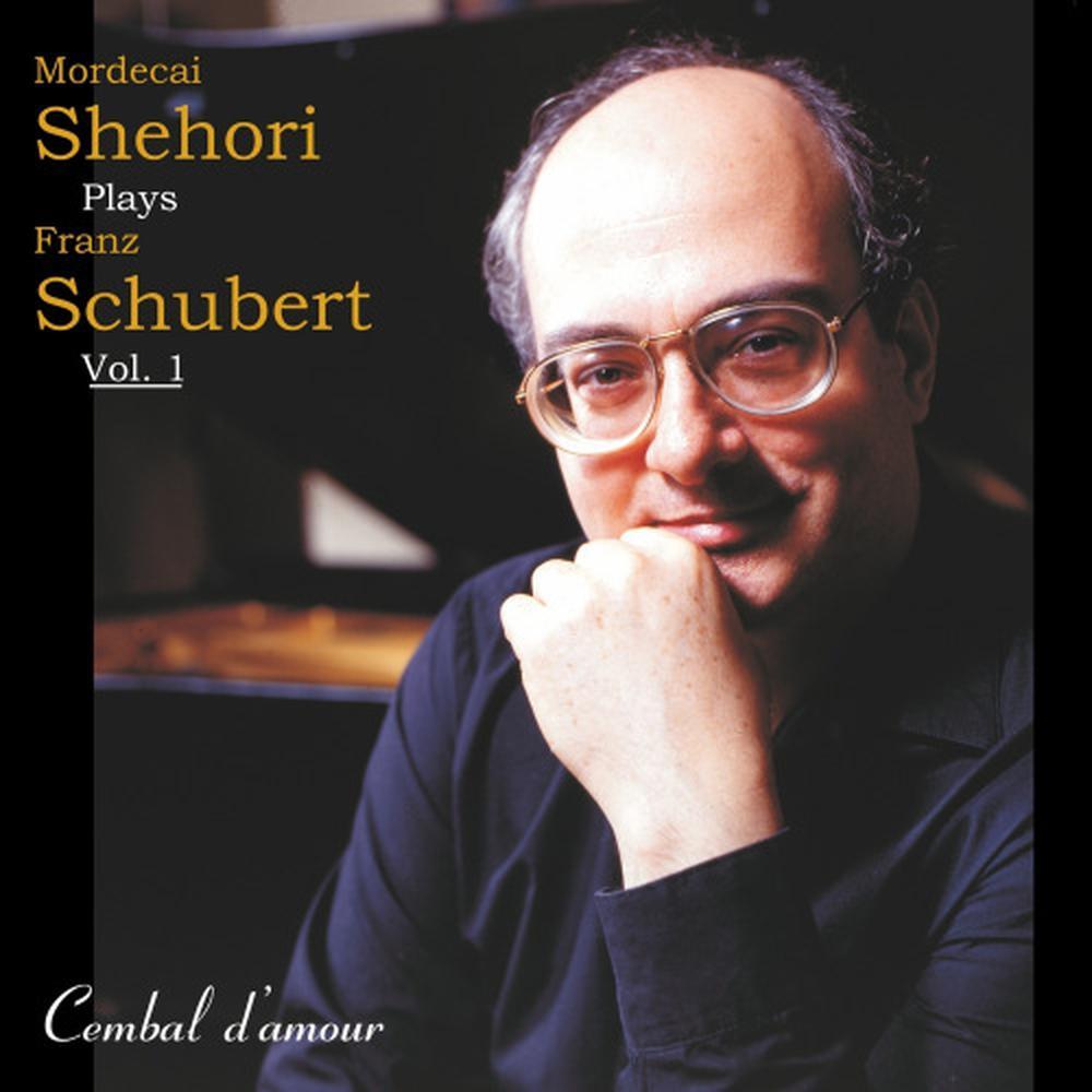Sonata in B-Flat Major, Op. Posth.  (Deutsch-Verz. 960, 1828): Scherzo-Allegro vivace con delicatezza