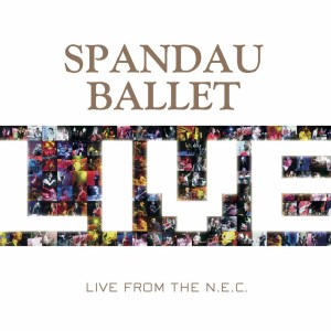 ดาวน์โหลดและฟังเพลง True (Live from the N.E.C.) (Live) พร้อมเนื้อเพลงจาก Spandau Ballet