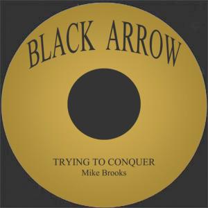 ดาวน์โหลดและฟังเพลง Trying to Conquer พร้อมเนื้อเพลงจาก Mike Brooks