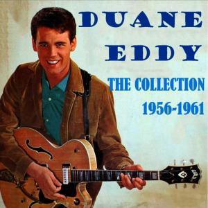 ดาวน์โหลดและฟังเพลง I Almost Lost My Mind พร้อมเนื้อเพลงจาก Duane Eddy