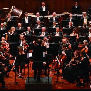 Orchestra Sinfonica di Roma ดาวน์โหลดและฟังเพลงฮิตจาก Orchestra Sinfonica di Roma