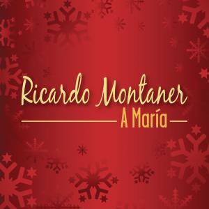 收聽Ricardo Montaner的A María歌詞歌曲