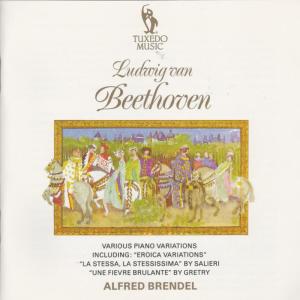 ดาวน์โหลดและฟังเพลง Nine Variations on "Quant' è più bello l'Amor contadino" in A Major, WoO 69 พร้อมเนื้อเพลงจาก Alfred Brendel
