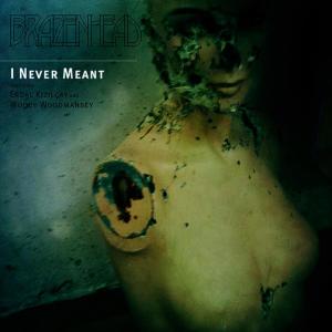 ดาวน์โหลดและฟังเพลง I Never Meant พร้อมเนื้อเพลงจาก Brazenhead