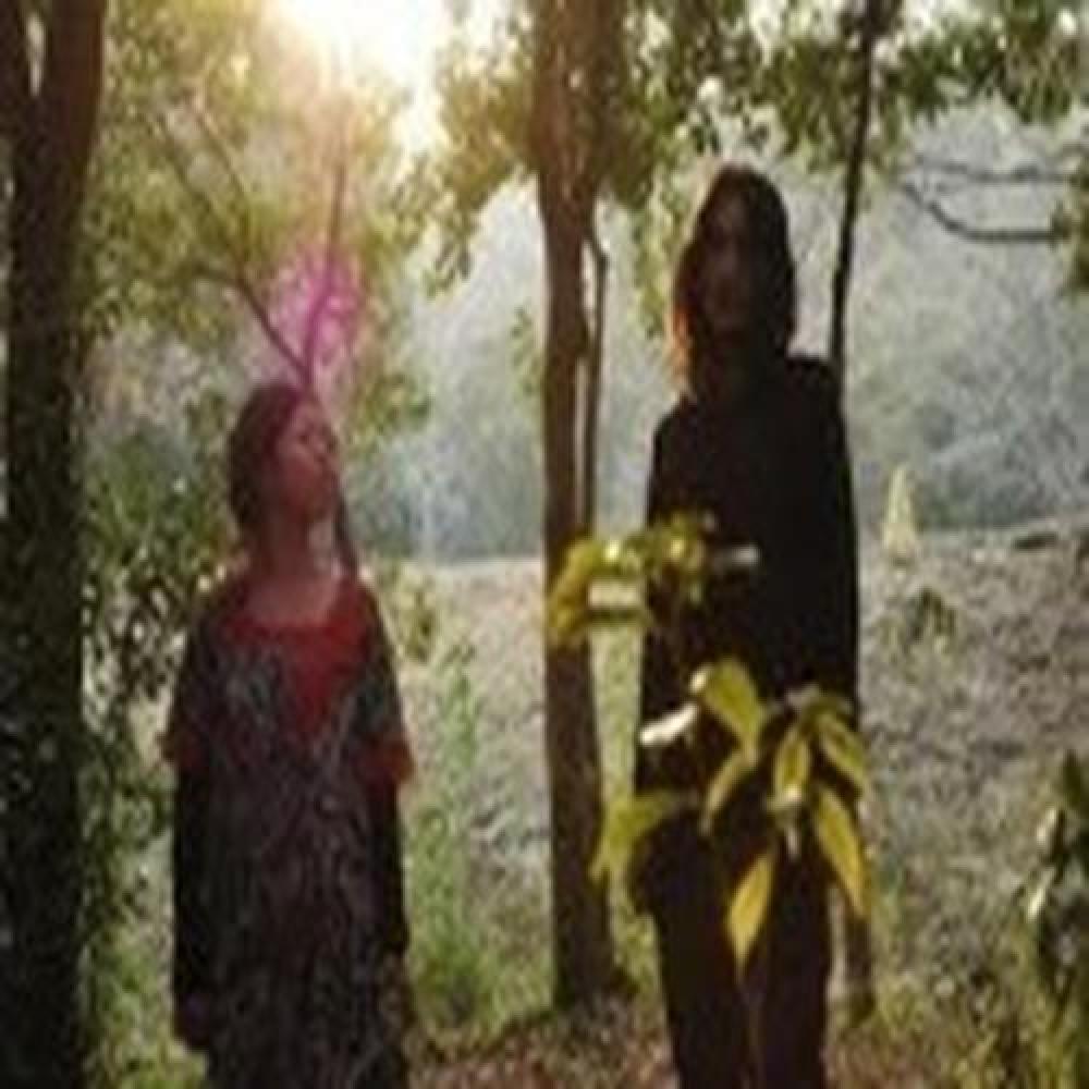 Baobab