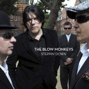 อัลบัม Steppin' Down ศิลปิน The Blow Monkeys